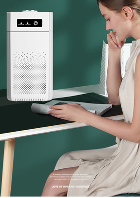 31m2-40m2 Sterilization Portable Air Purifier